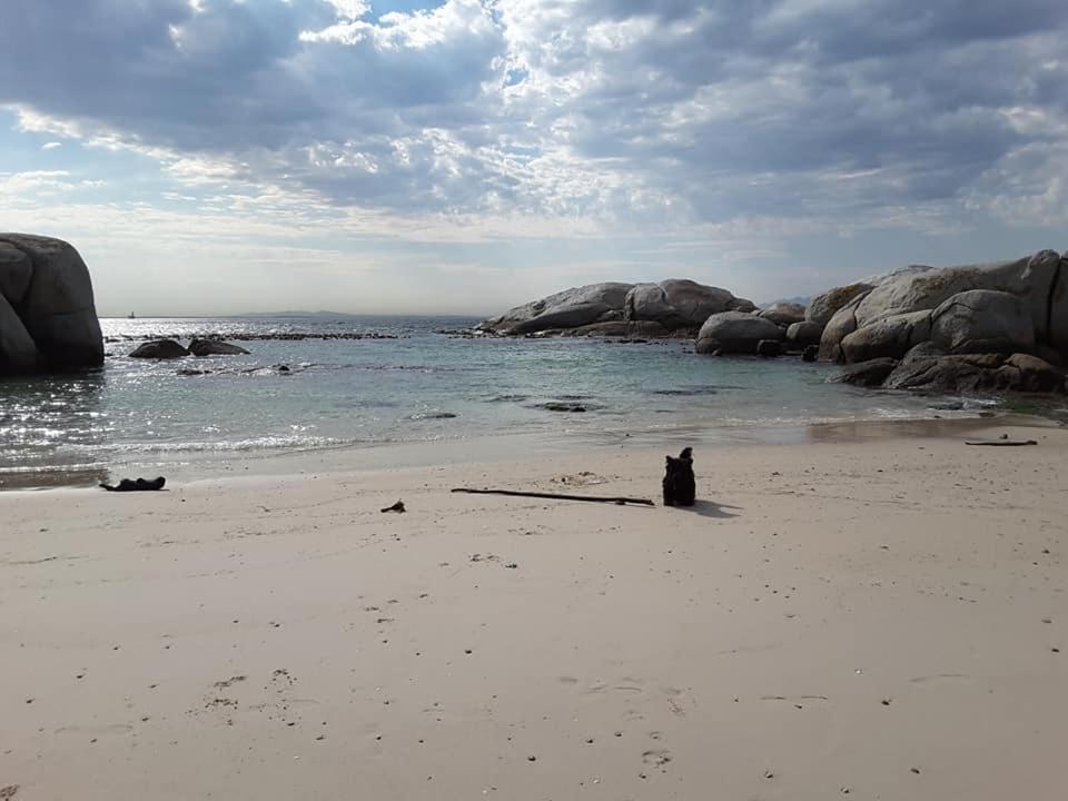 Porcupine Walk Apartment Simon's Town Luaran gambar