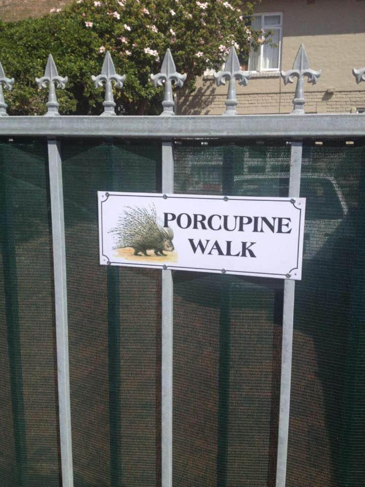 Porcupine Walk Apartment Simon's Town Luaran gambar