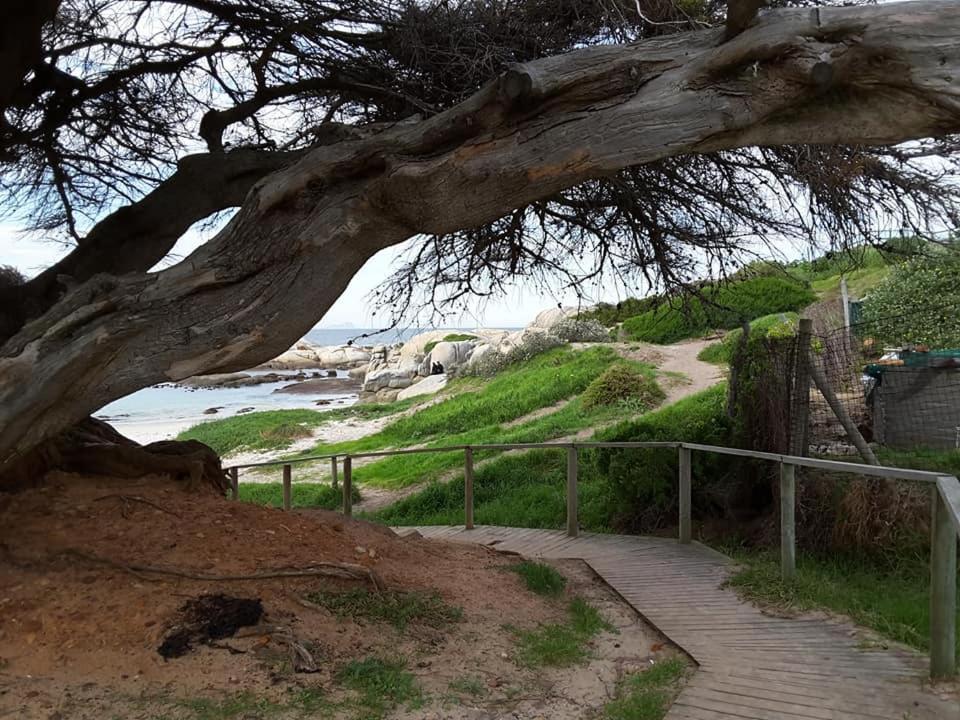 Porcupine Walk Apartment Simon's Town Luaran gambar