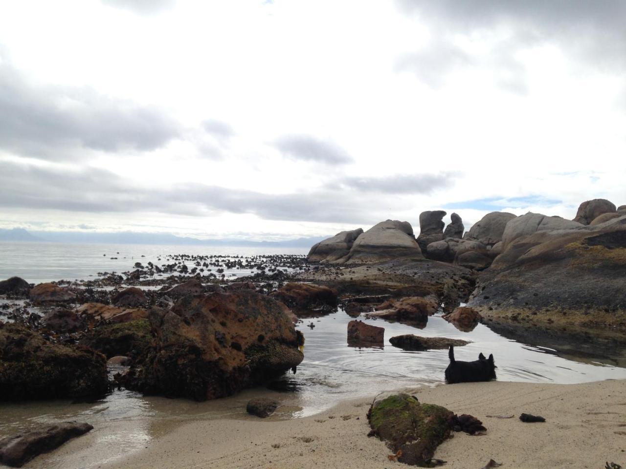Porcupine Walk Apartment Simon's Town Luaran gambar